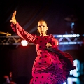 flamenco (78)